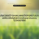 Font BD Lifeless Grotesk Font Xinh