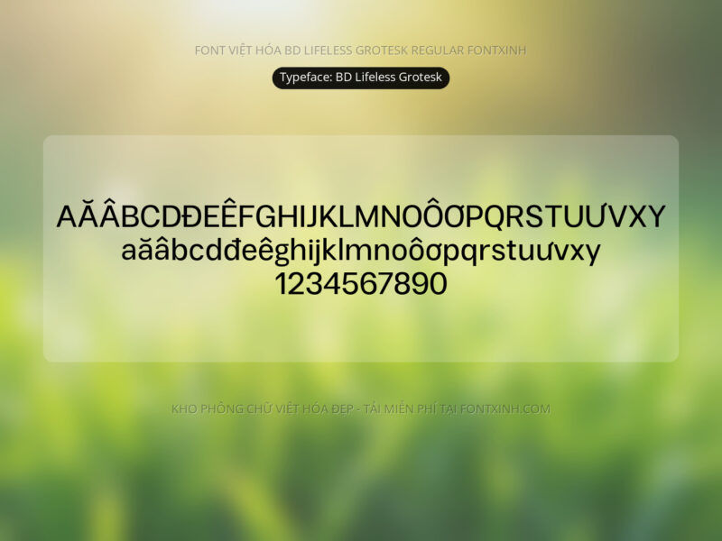 Font BD Lifeless Grotesk Font Xinh