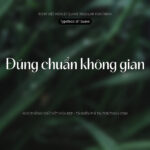 Font BT Suave Font Xinh