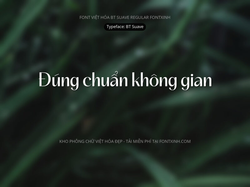 Font BT Suave Font Xinh