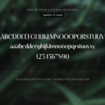Font BT Suave Font Xinh