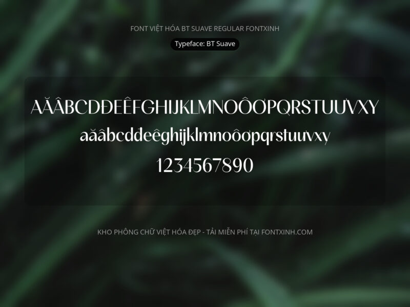 Font BT Suave Font Xinh