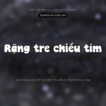 Font DL Lucky Coin Font Xinh
