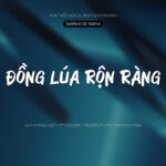 Font DL Nastice Font Xinh