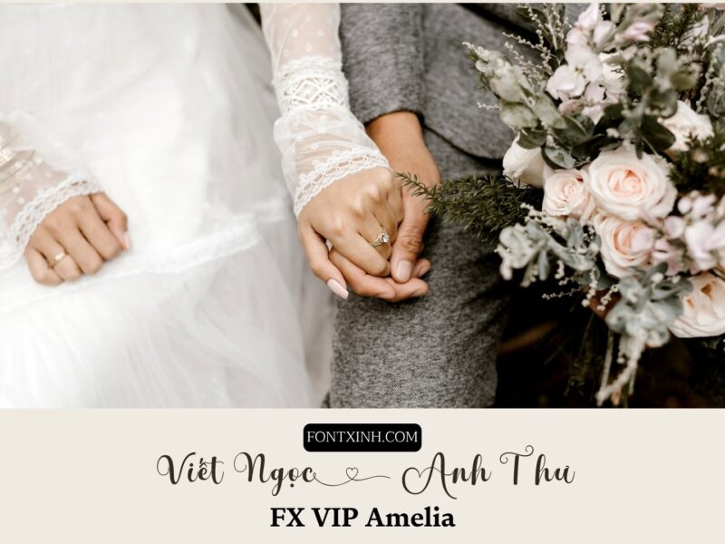Font FX VIP Amelia
