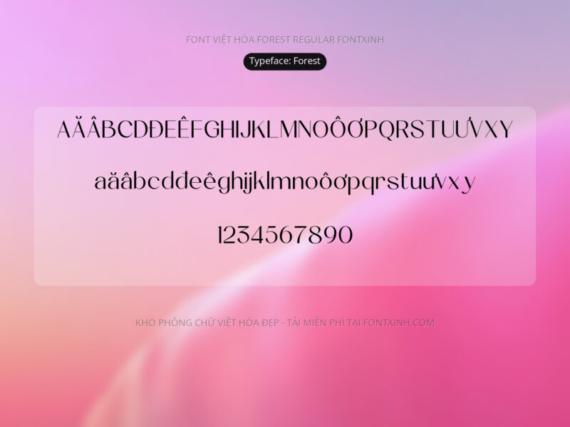 Font Forest Font Xinh