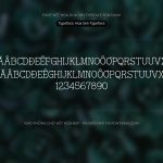 Font Hoa Sen Typeface Font Xinh
