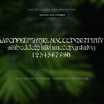 Font iCielAmerigraf Font Xinh