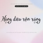 Font iCielStringfellows Font Xinh