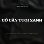 Font Lạc Tự (Lost Type phiên bản 2023) Font Xinh
