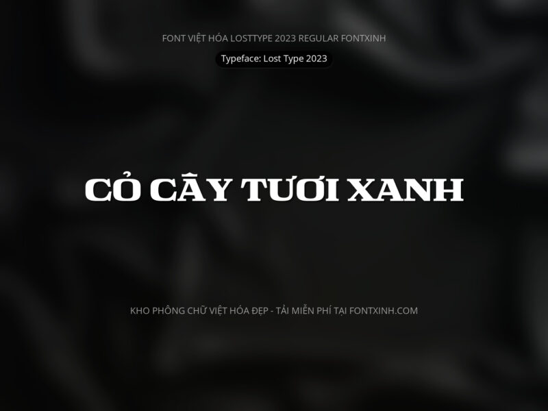 Font Lạc Tự (Lost Type phiên bản 2023) Font Xinh