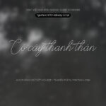 Font MTD Abbassy Script Font Xinh