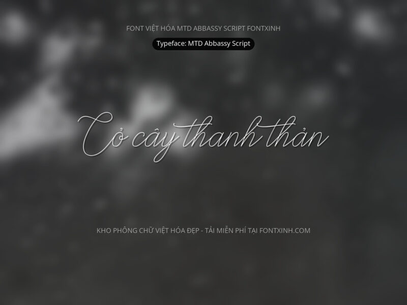 Font MTD Abbassy Script Font Xinh
