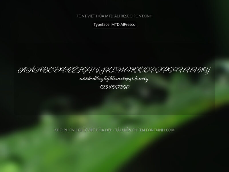 Font MTD Aifresco Font Xinh