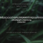 Font MTD Ampihan Font Xinh