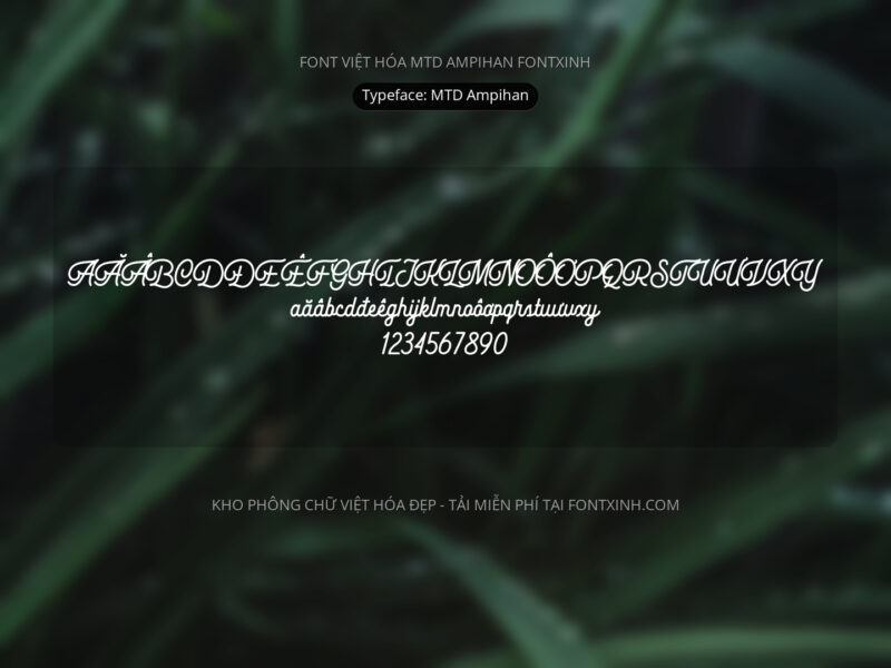 Font MTD Ampihan Font Xinh