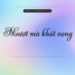 Font MTD Andrade Pro Script Font Xinh