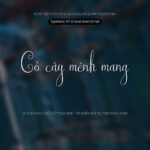 Font MTD Australian Script Font Xinh