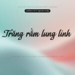 Font MTD Capellina Script Font Xinh