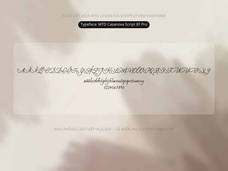 Font MTD Casanova Script EF Pro Font Xinh