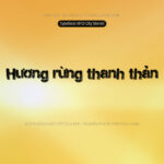Font MTD City Stencil Font Xinh
