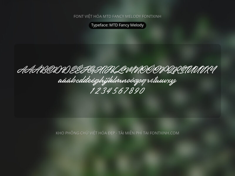 Font MTD Fancy Melody Font Xinh