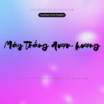 Font MTD Feather Font Xinh