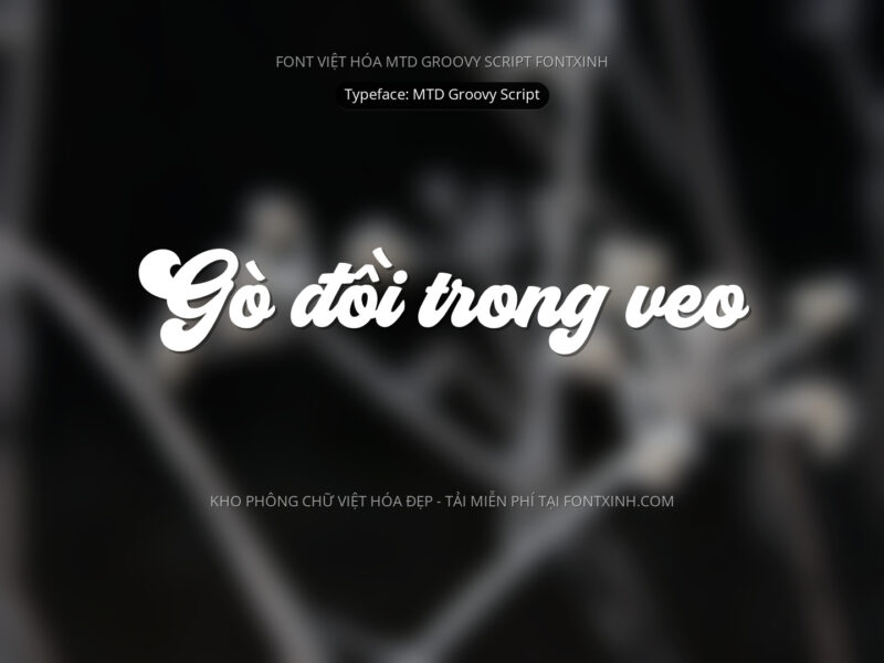 Font MTD Groovy Script Font Xinh