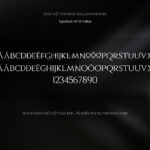Font MTD Volloa Font Xinh