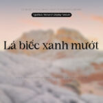 Font Monarch Font Xinh