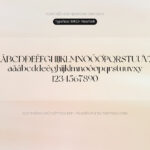 Font New York Font Xinh