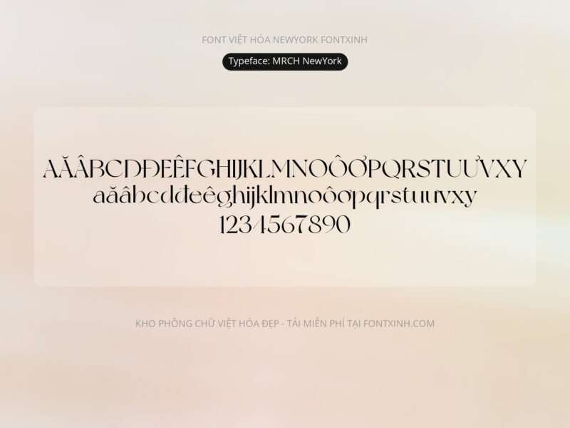 Font New York Font Xinh