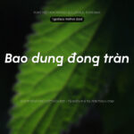 Font Rothek Font Xinh