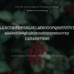 Font SFU American Font Xinh