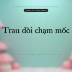 Font SFU Baskervillebook Font Xinh
