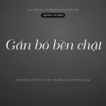Font SFU Belle Font Xinh