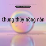 Font SFU Dax Font Xinh