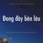 Font SFU Function Font Xinh
