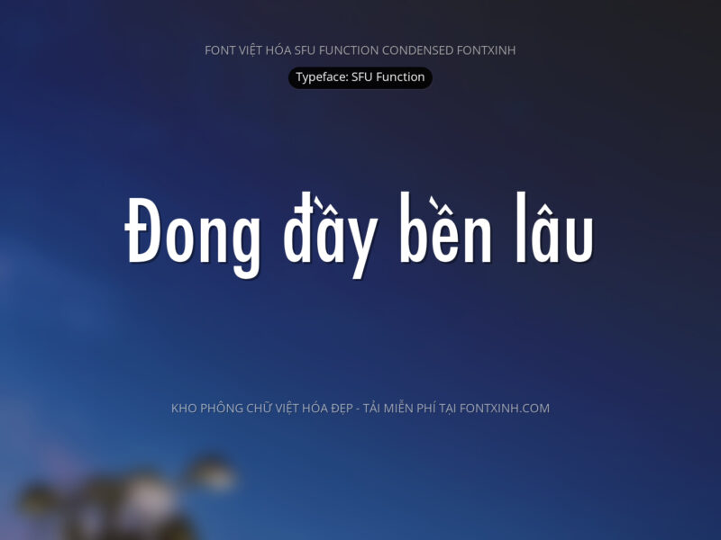 Font SFU Function Font Xinh
