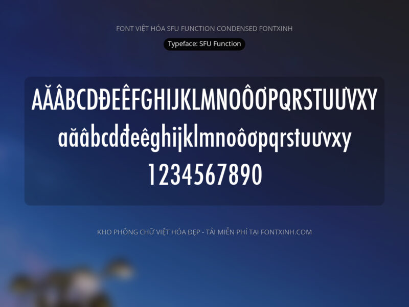 Font SFU Function Font Xinh