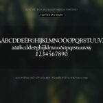 Font SFU Goudy Font Xinh