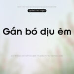 Font SFU Insignia Font Xinh