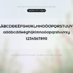 Font SFU Insignia Font Xinh