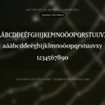 Font SFU Matrix Font Xinh