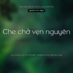Font SFU Napoli Font Xinh