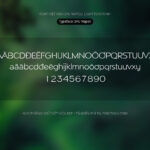 Font SFU Napoli Font Xinh