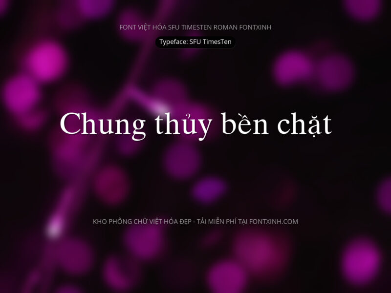 Font SFU TimesTen Font Xinh
