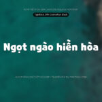 Font Srn Cookierun (có tiếng Hàn) Font Xinh