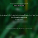 Font SVN AaronScript Font Xinh