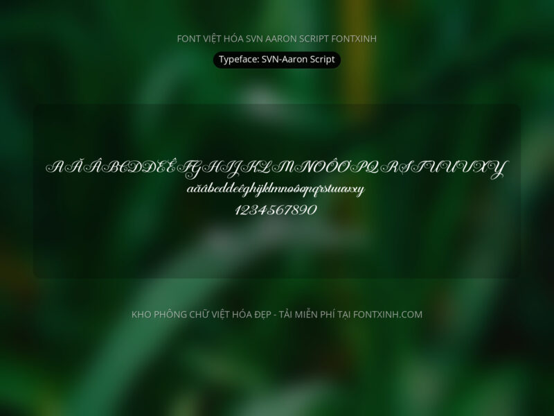 Font SVN AaronScript Font Xinh